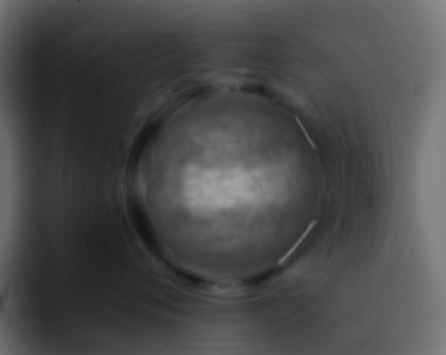 X0000093150720200710031428