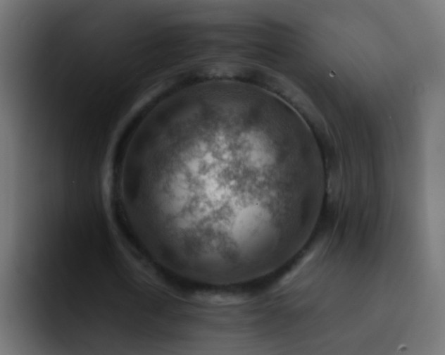 X0000093150722200710031427