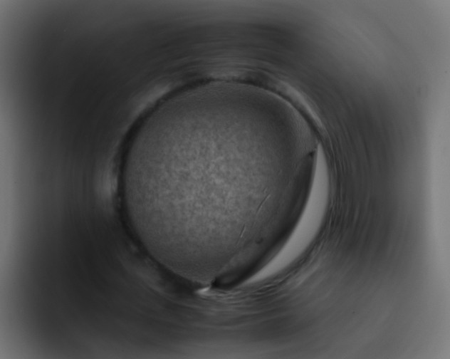 X0000093150723200710031427
