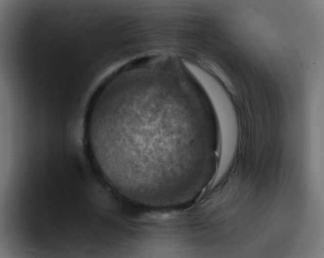 X0000093150724200710031427