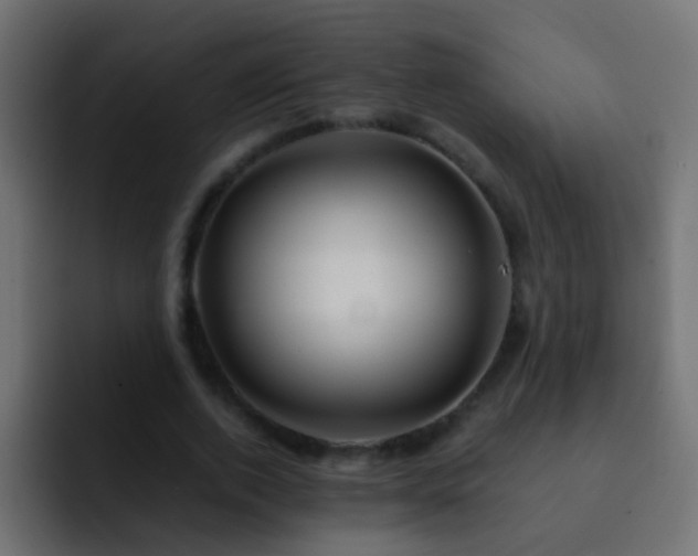 X0000093150728200710031427