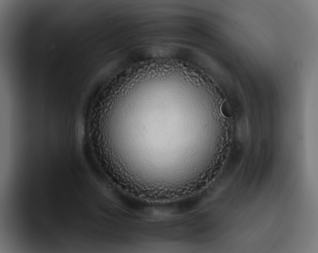 X0000093150733200710031427