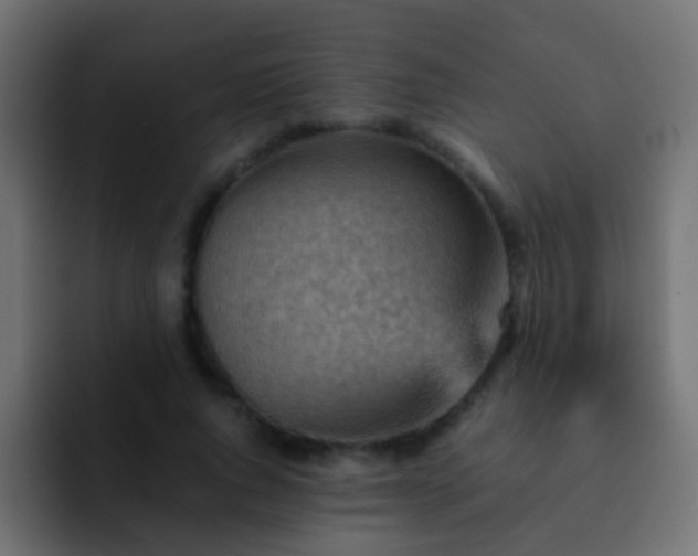 X0000093150736200710031427