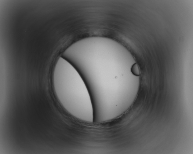 X0000093150738200710031427