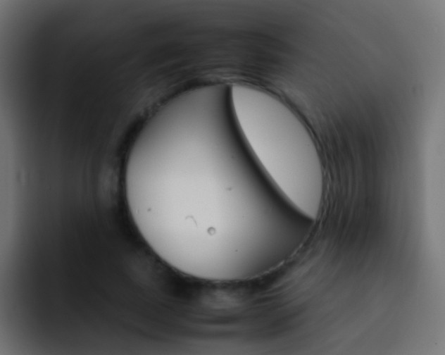 X0000093150739200710031427