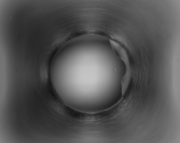 X0000093150740200710031427
