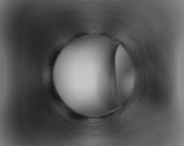 X0000093150744200710031427