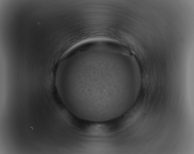 X0000093150748200710031427