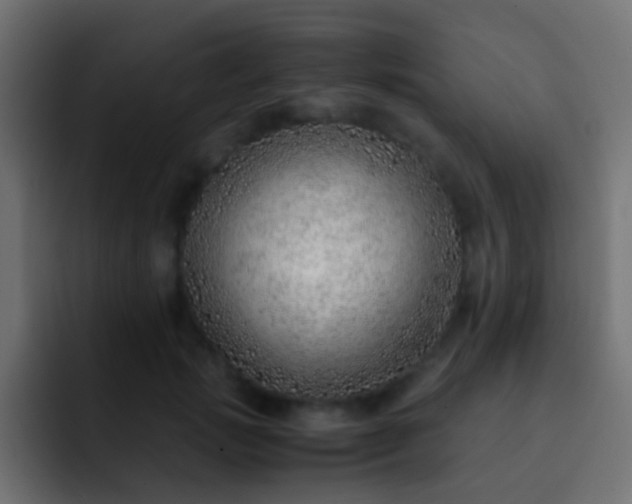 X0000093150749200710031427
