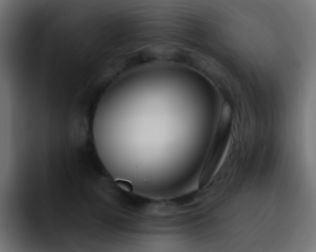 X0000093150752200710031427