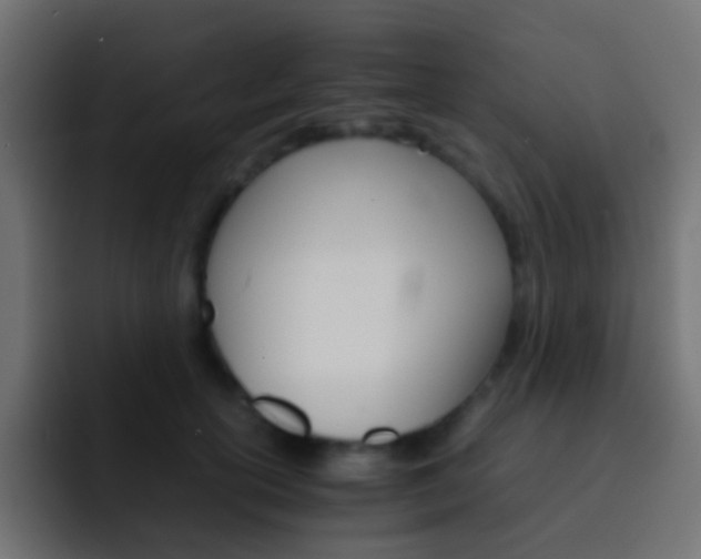 X0000093150754200710031427