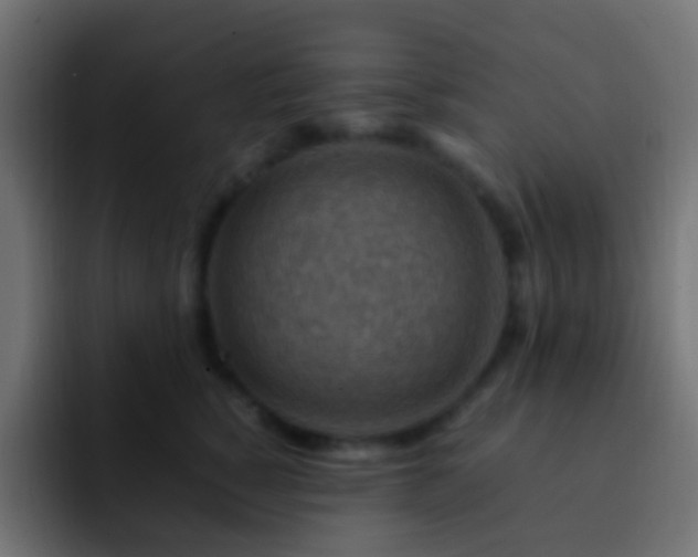 X0000093150760200710031428