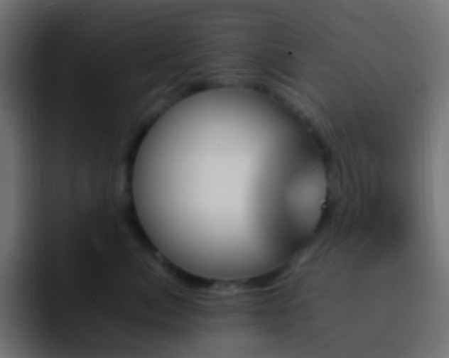 X0000093150764200710031428