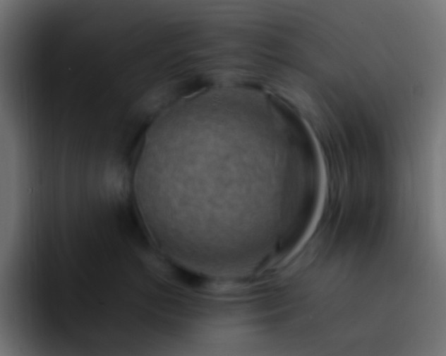 X0000093150766200710031428
