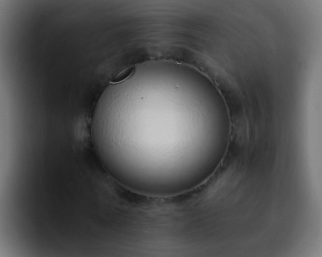 X0000093150770200710031427