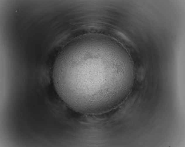 X0000093150774200710031427