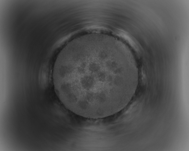 X0000093150775200710031427