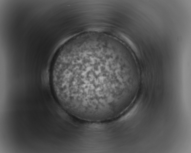 X0000093150779200710031427