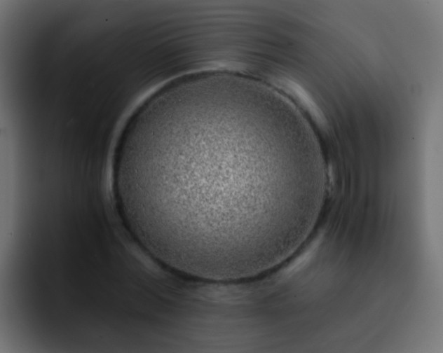 X0000093150780200710031427