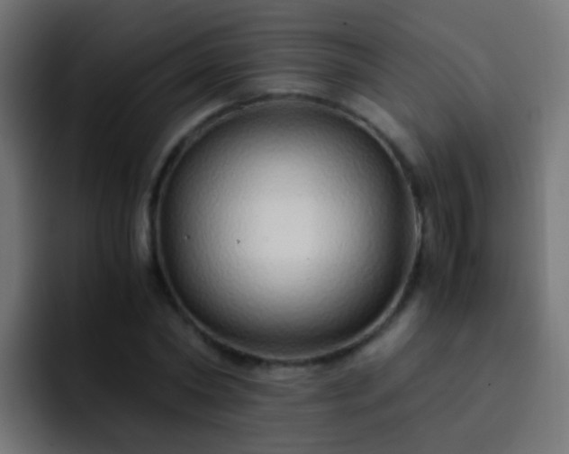 X0000093150782200710031427