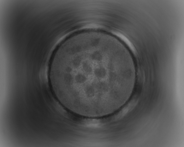 X0000093150783200710031427