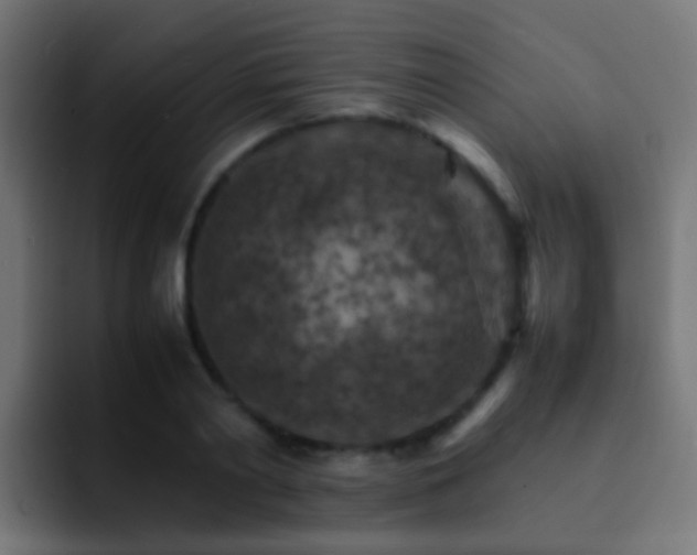 X0000093150790200710031427