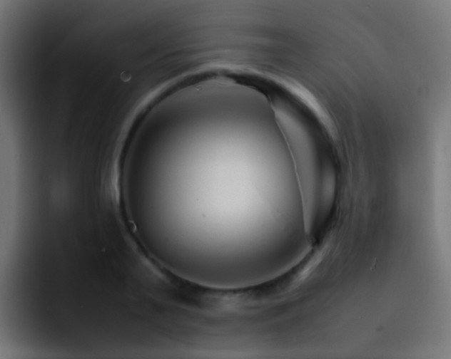 X0000093150791200710031427