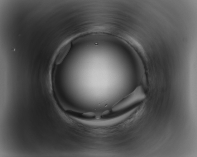 X0000093150792200710031427