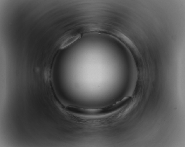 X0000093150793200710031427