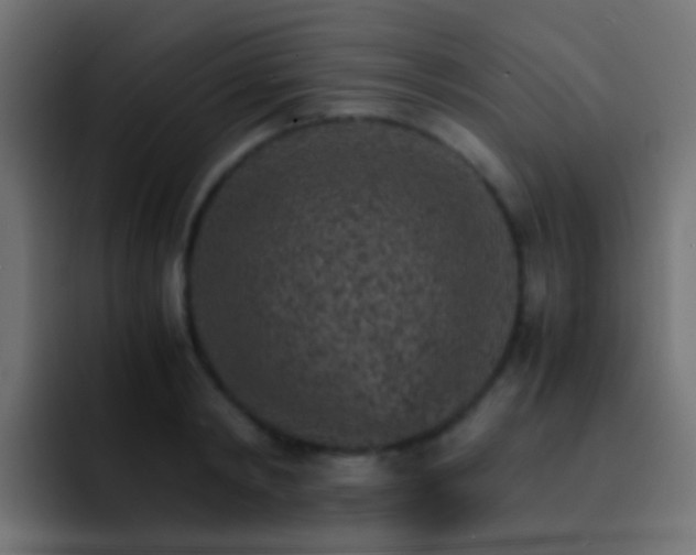 X0000093150798200710031427