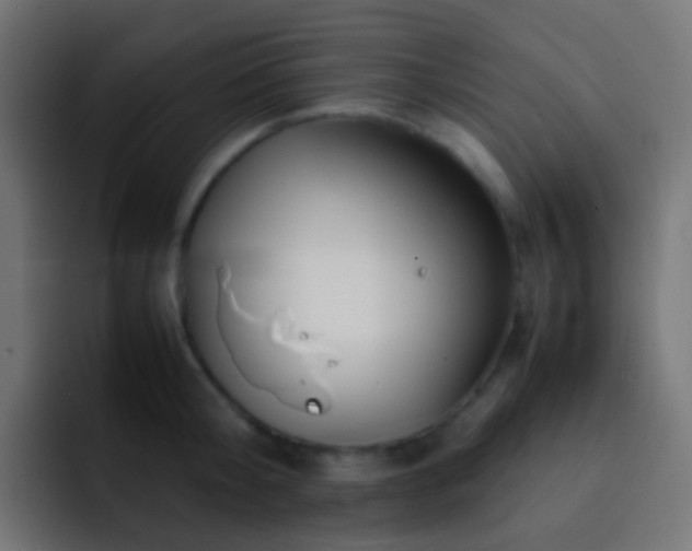 X0000093150804200710031427