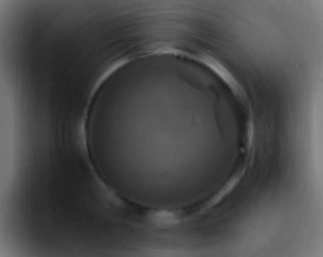 X0000093150806200710031427