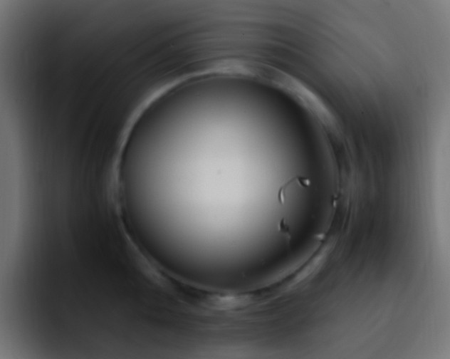 X0000093150808200710031427