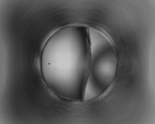 X0000093150812200710031427