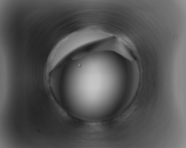 X0000093150816200710031426