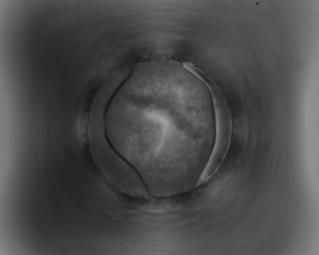 X0000093150818200710031426