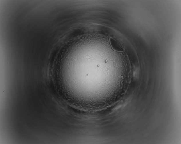 X0000093150819200710031426