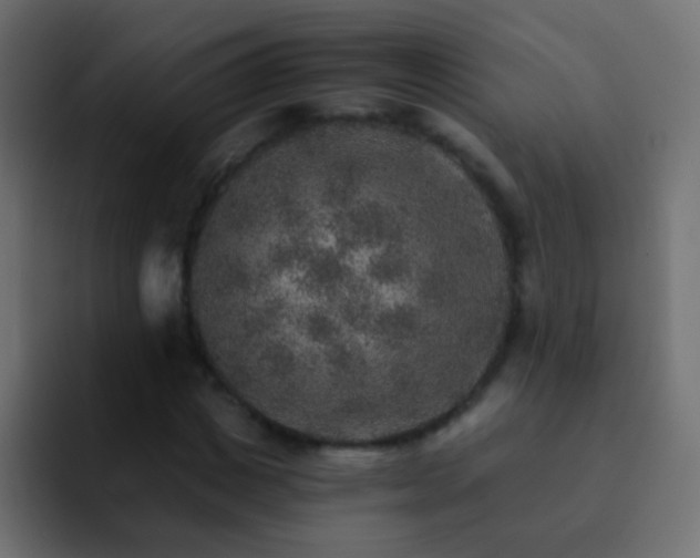 X0000093150825200710031426