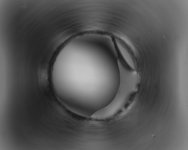 X0000093150826200710031426