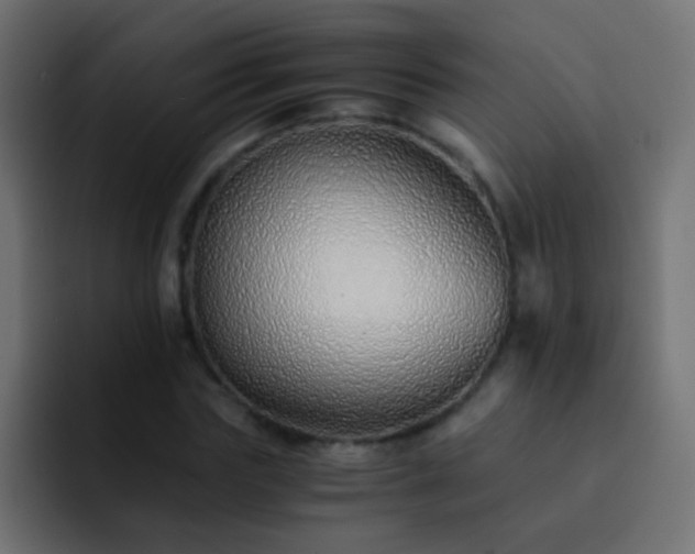 X0000093150827200710031426