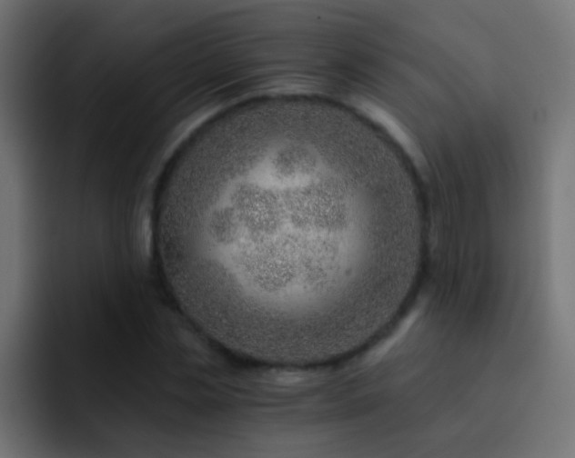 X0000093150829200710031426