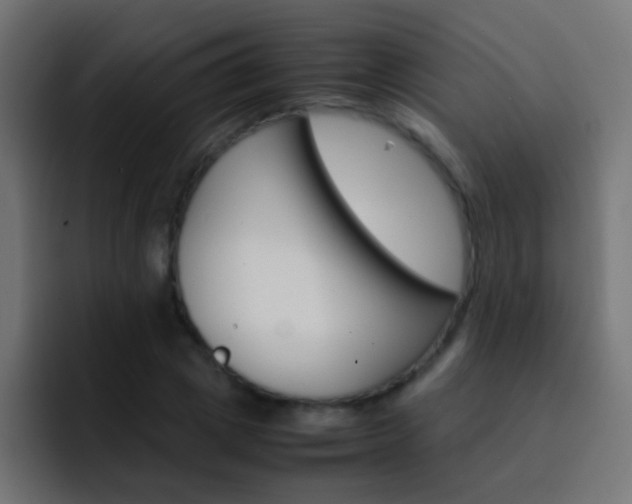 X0000093150833200710031426