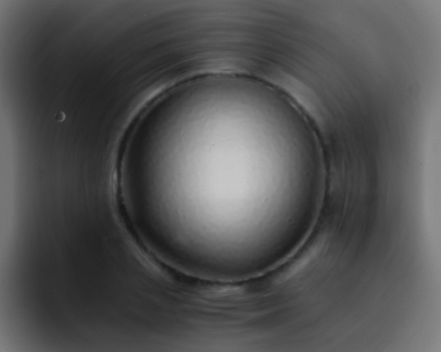 X0000093150837200710031426
