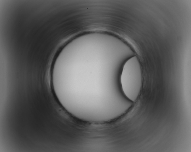 X0000093150840200710031426