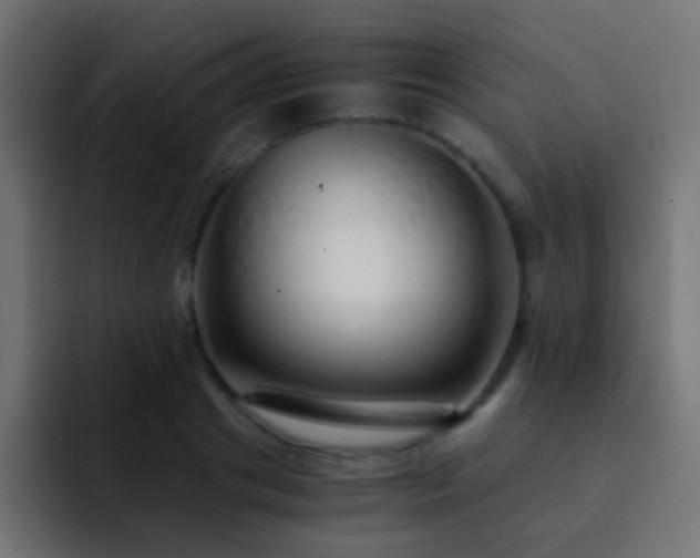 X0000093150841200710031426