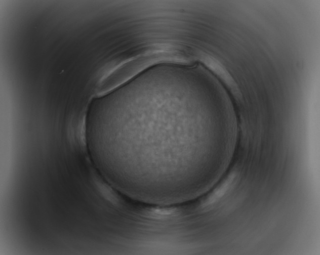 X0000093150842200710031426