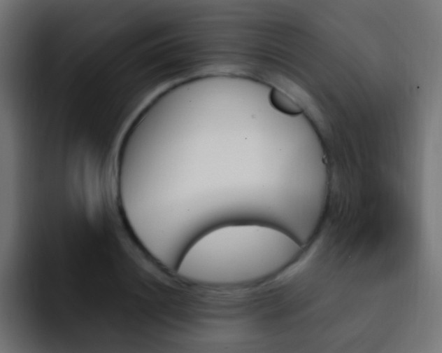 X0000093150844200710031426