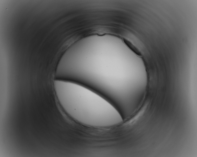 X0000093150849200710031426