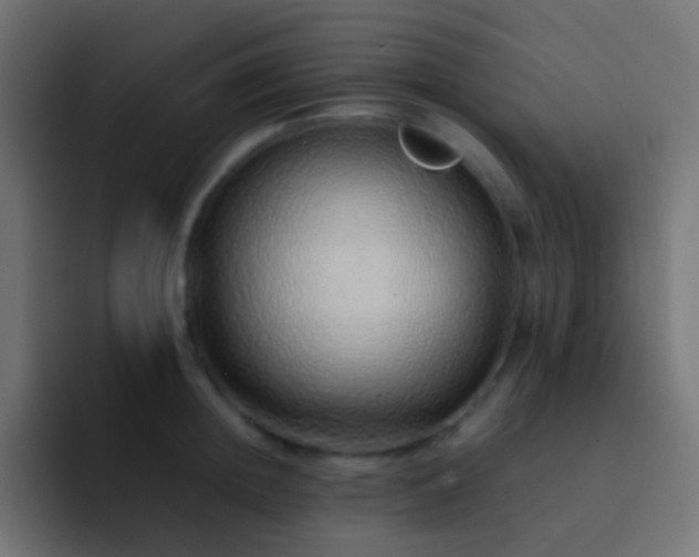 X0000093150852200710031426