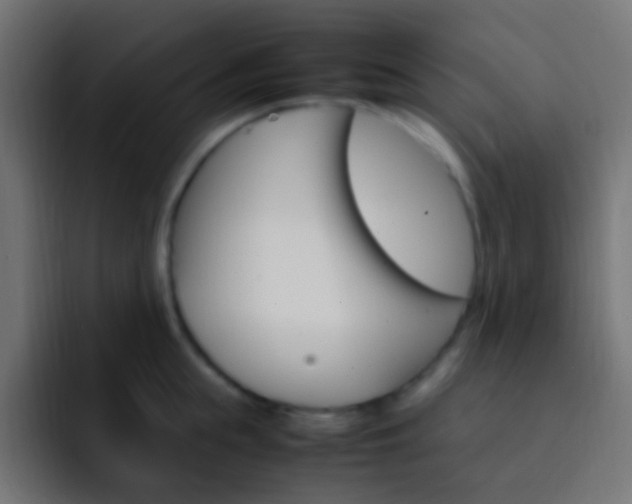 X0000093150855200710031426